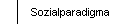 Sozialparadigma