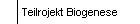 Teilrojekt Biogenese
