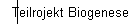 Teilrojekt Biogenese