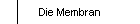Die Membran