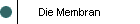 Die Membran