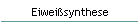 Eiwei�synthese