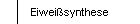Eiwei�synthese