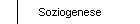 Soziogenese