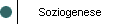 Soziogenese