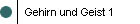 Gehirn und Geist 1