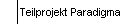 Teilprojekt Paradigma