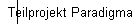 Teilprojekt Paradigma